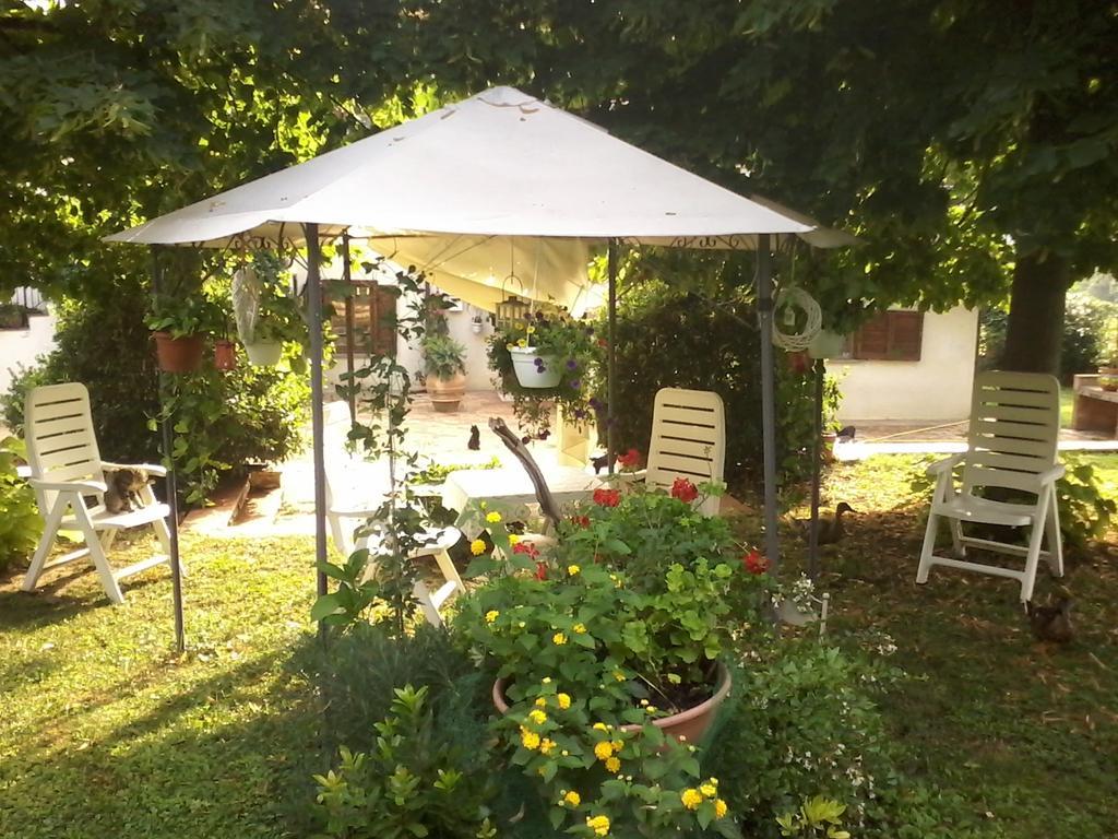 Bed And Breakfast Casale Isorella Сан Джемини Екстериор снимка