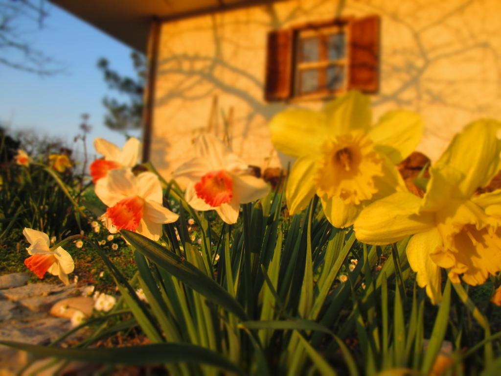 Bed And Breakfast Casale Isorella Сан Джемини Екстериор снимка