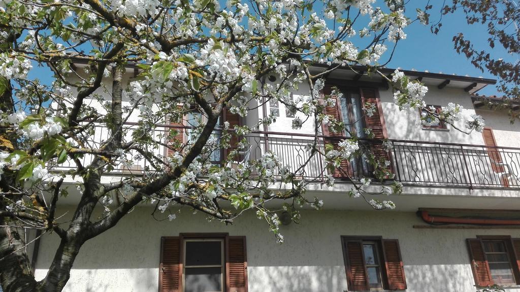 Bed And Breakfast Casale Isorella Сан Джемини Екстериор снимка