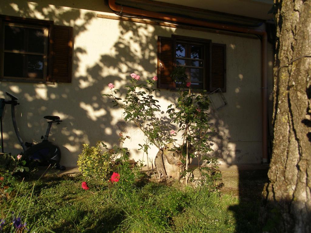 Bed And Breakfast Casale Isorella Сан Джемини Екстериор снимка