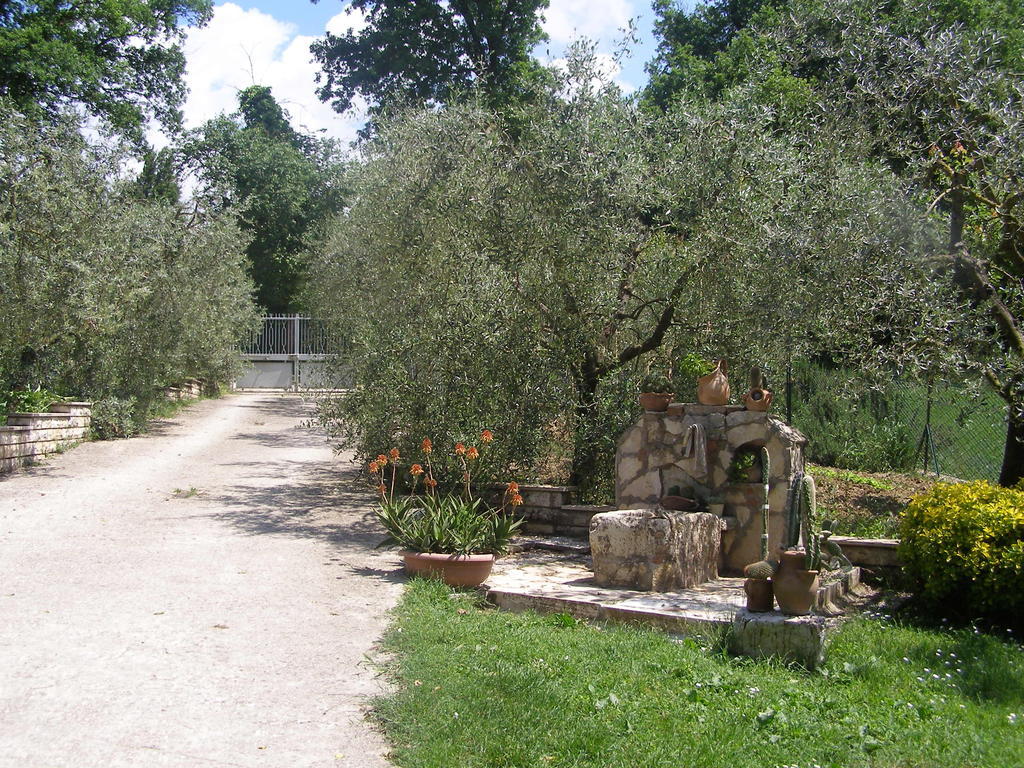 Bed And Breakfast Casale Isorella Сан Джемини Екстериор снимка