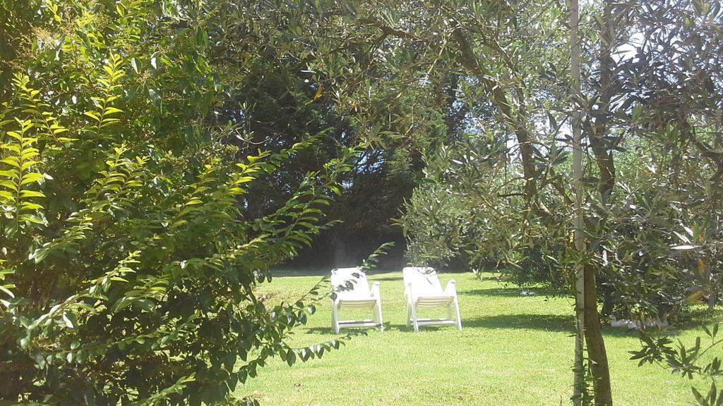Bed And Breakfast Casale Isorella Сан Джемини Екстериор снимка