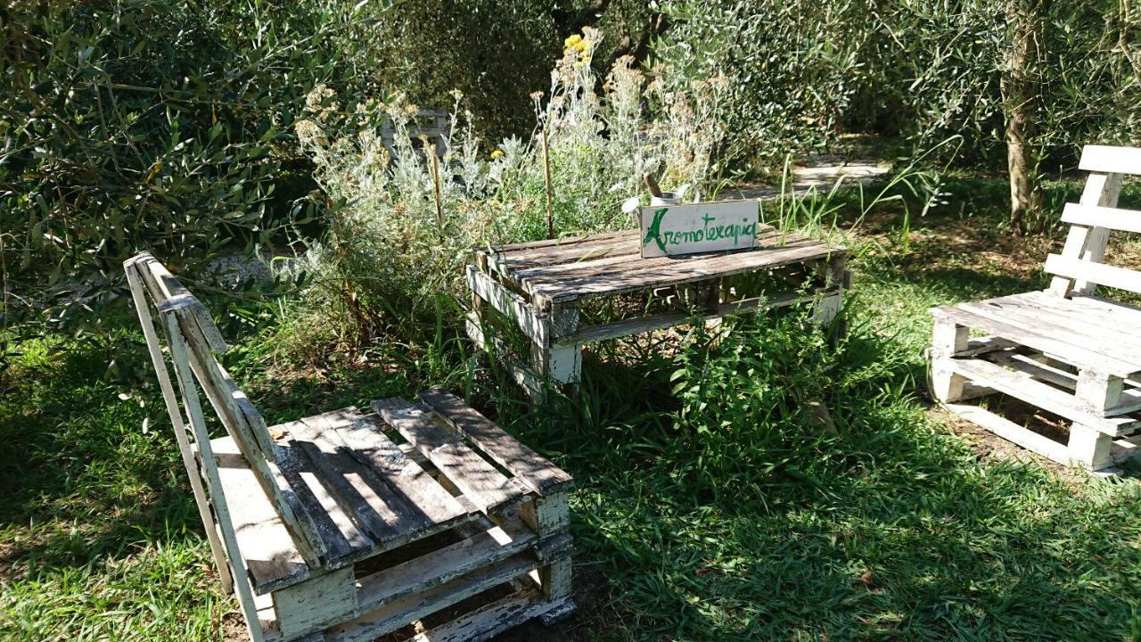 Bed And Breakfast Casale Isorella Сан Джемини Екстериор снимка