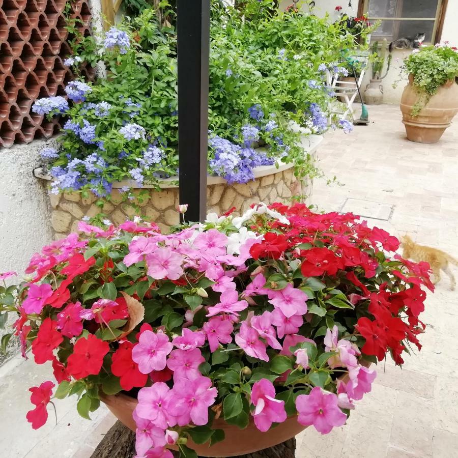 Bed And Breakfast Casale Isorella Сан Джемини Екстериор снимка